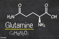 what is Glutamine?