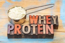 Whey Protein?