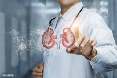 Treatment of kidney disease