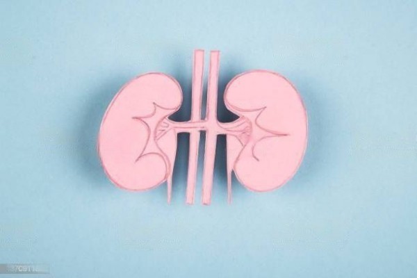 Know about your kidney